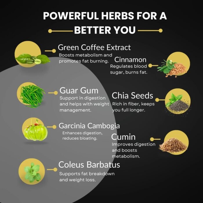 🔥 Zero Figer+ Slimmer, Healthier You! 🔥 - Image 3