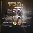Night King: Unleash Your Inner Power – Ayurvedic Stamina & Vitality Booster