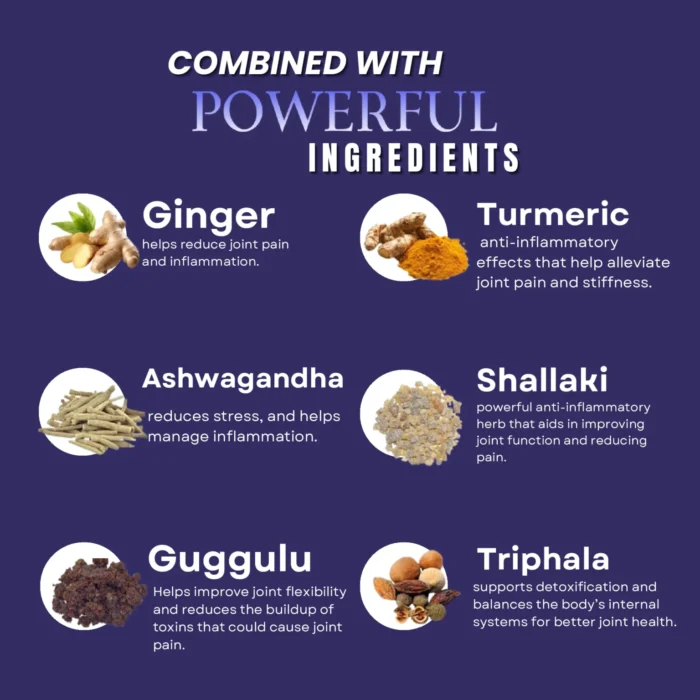 Joint Relief-Ayurvedic Support for Joint Health - Image 2