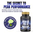 VK Nutritions Organic Health Products Power Pulse – Strength, Stamina & Testosterone Booster