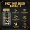 VK Nutritions Organic Health Products Shilajit – Strength, Stamina & Performance Booster