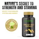 VK Nutritions Organic Health Products Shilajit – Strength, Stamina & Performance Booster