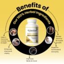 GAIN MAXX Natural Weight Gainer – Dietary Supplement